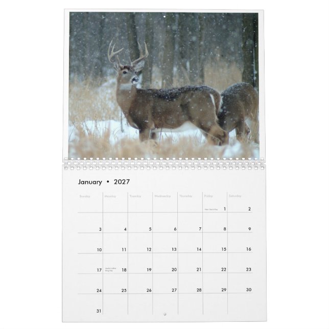OHIO-WILD LEBENDE TIERE CALENDAR-A KALENDER (Jan 2027)