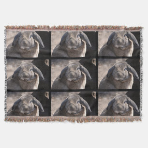 Ohriges Kaninchen Schmierölniederdrucks Decke