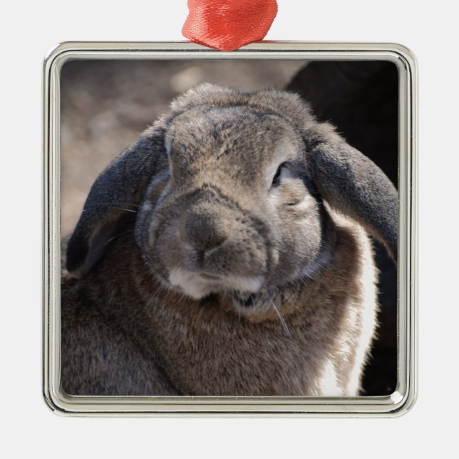 Ohriges Kaninchen Schmierölniederdrucks Ornament Aus Metall (Vorne)