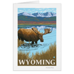 Oie boit au lac - Wyoming