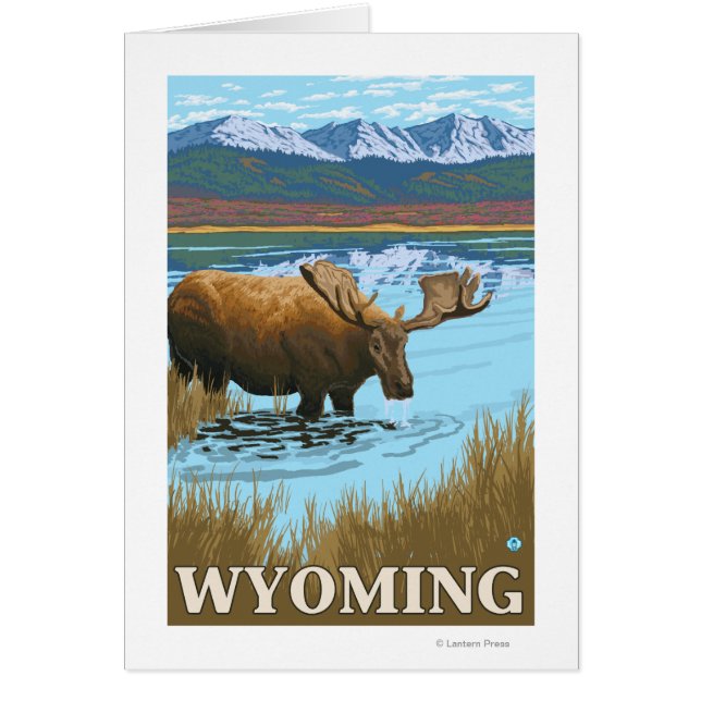 Oie boit au lac - Wyoming (Devant)