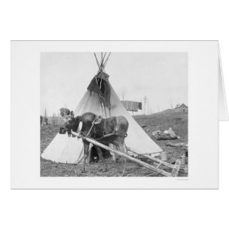 Oie de travail Teepee 1916