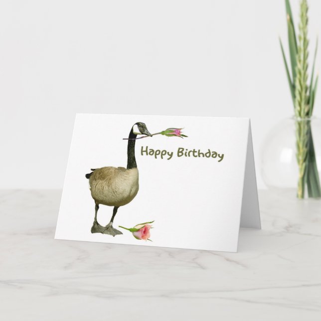 Oie du Canada avec carte d'anniversaire Rose (Devant)