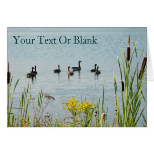 Oies Et Cattons Du Canada