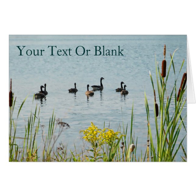 Oies Et Cattons Du Canada (Devant horizontal)