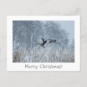 Oies-laitières en carte de noël de paysage enneigé
