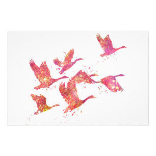 Oies Oiseaux Forêt Sauvage Nature Monde Terre Vol Fotodruck
