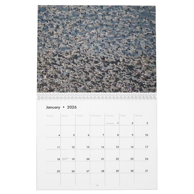 Oies sauvages 2015 - calendrier d'oie (Jan 2026)