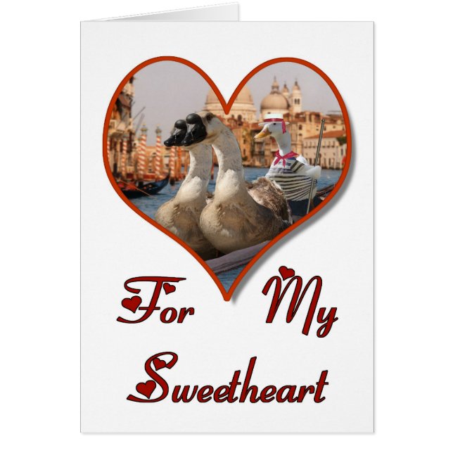 Oies sur une promenade romantique en gondole (Devant)