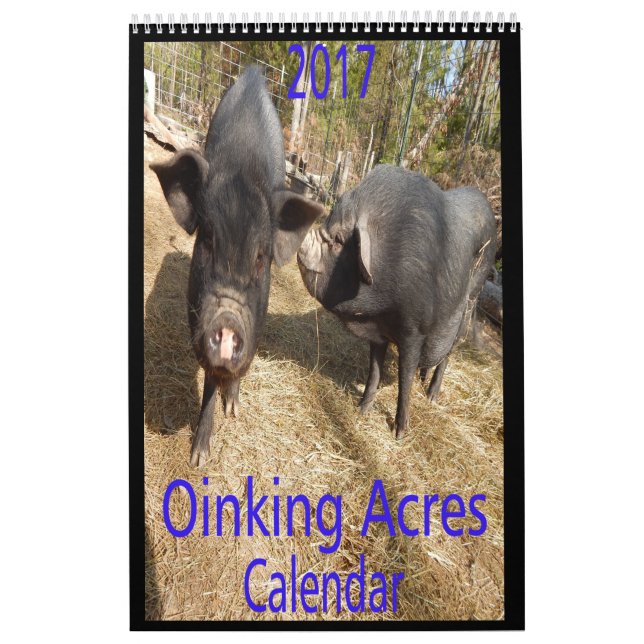 Oinking Morgen-Minischweine Kalender (Titelbild)