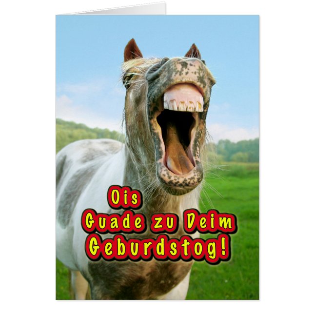 Ois Guade zu Deim Geburtstog! (Vorne)