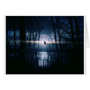 Oiseau au clair de lune