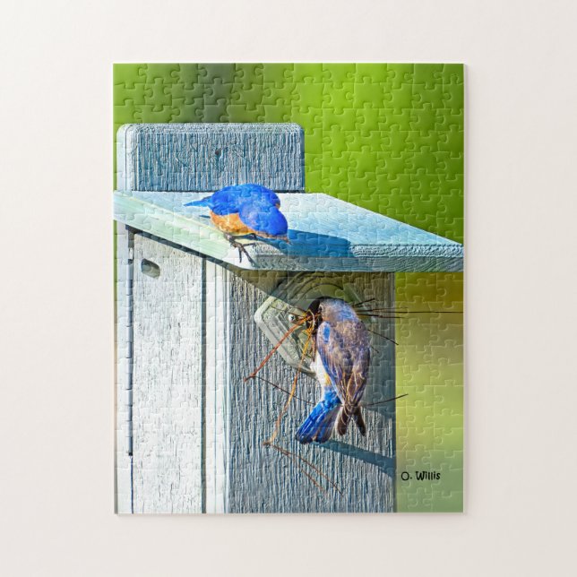 Oiseau bleu 020 nichant le puzzle 11x14 252 (Vertical)
