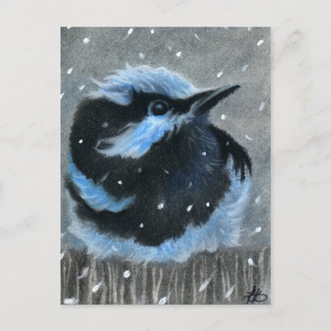 Oiseau bleu dans la neige CARTE POSTALE (Devant)
