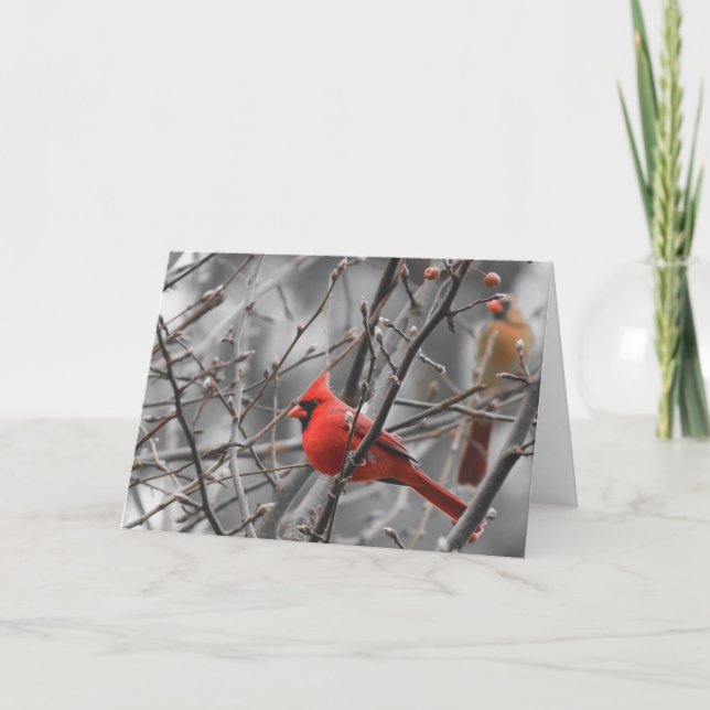 Oiseau cardinal, carte (Devant)