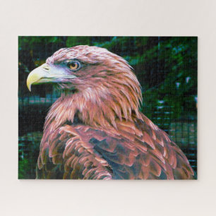 Oiseau d'aigle d'or de Prey. Jigsaw Puzzle
