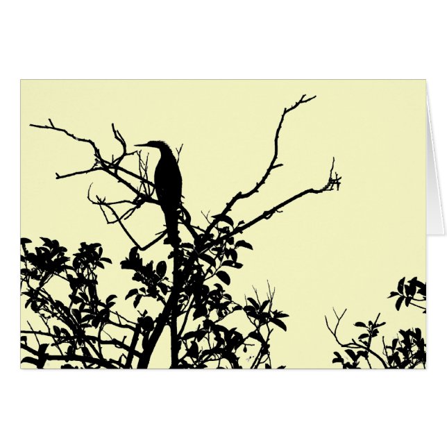 Oiseau d'Anhinga (Devant horizontal)