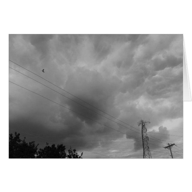 Oiseau dans le paysage nuageux / Noir (Devant horizontal)