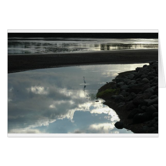 Oiseau dans l'eau (Devant horizontal)