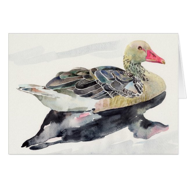 Oiseau d'aquarelle d'aspiration de main, canard (Devant horizontal)
