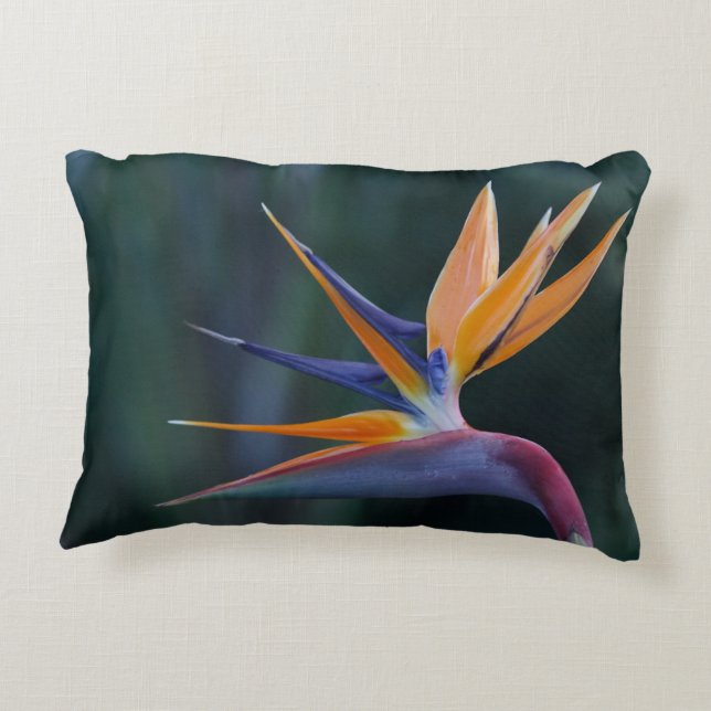Oiseau de coussin d'accent de paradis (Dos)