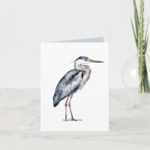 Oiseau de Héron Bleu Côtier