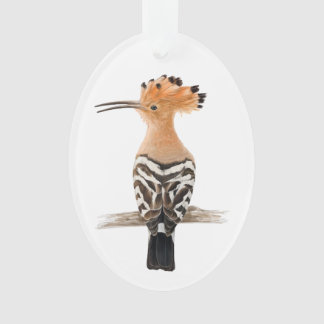 Oiseau de Hoopoe