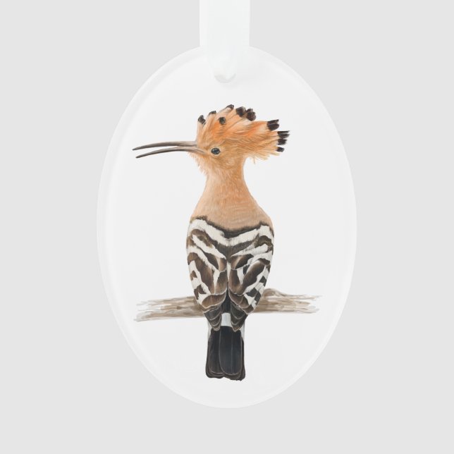 Oiseau de Hoopoe (devant)