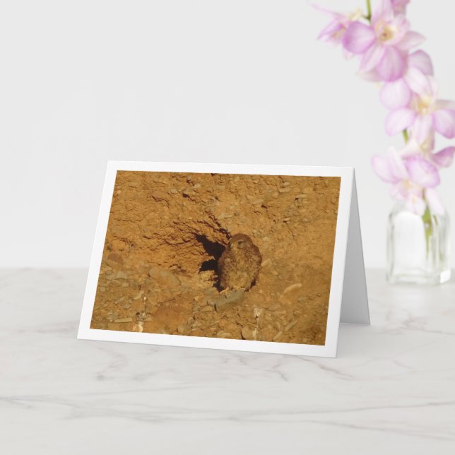 Oiseau de Kestrel, carte Falco Tinnunculus (Orchidée)