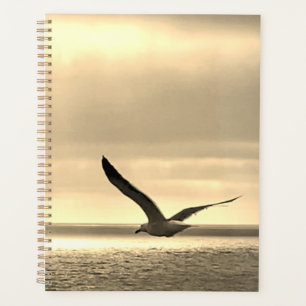 Oiseau de mer dans Sepia Planner