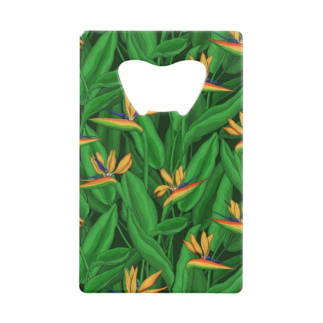 Oiseau de nuit du jardin du paradis (Devant)