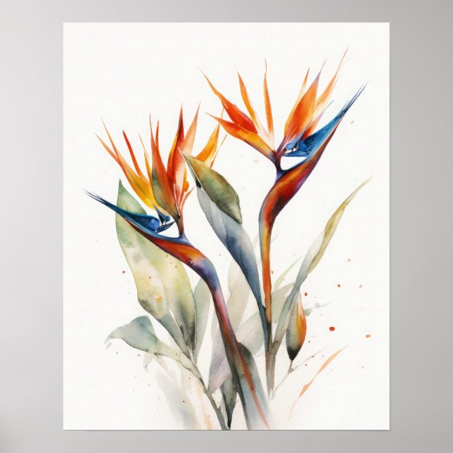 Oiseau De Paradis Fleurs Art Imprimer Poster (Devant)