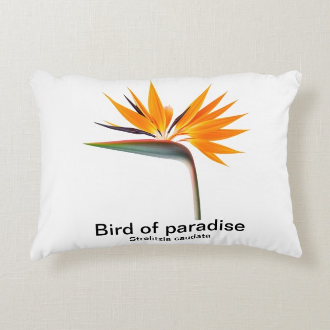 oiseau de paradis strelitzia coussin (Devant)