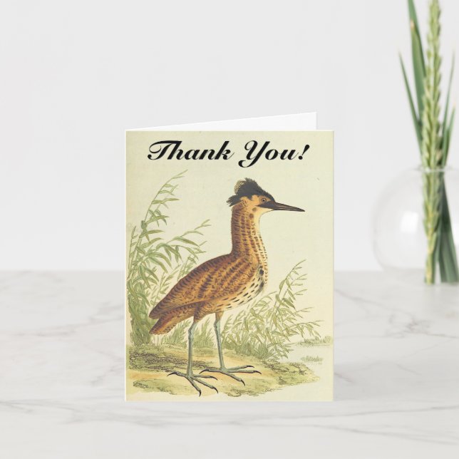 Oiseau debout, Vintage, "Merci !" Carte postale (Devant)