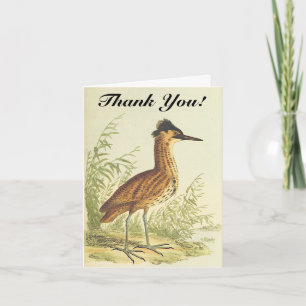 Oiseau debout, Vintage, "Merci !" Carte postale
