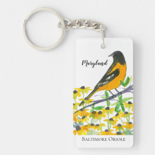 Oiseau d'État de Baltimore Oriole dans le Maryland