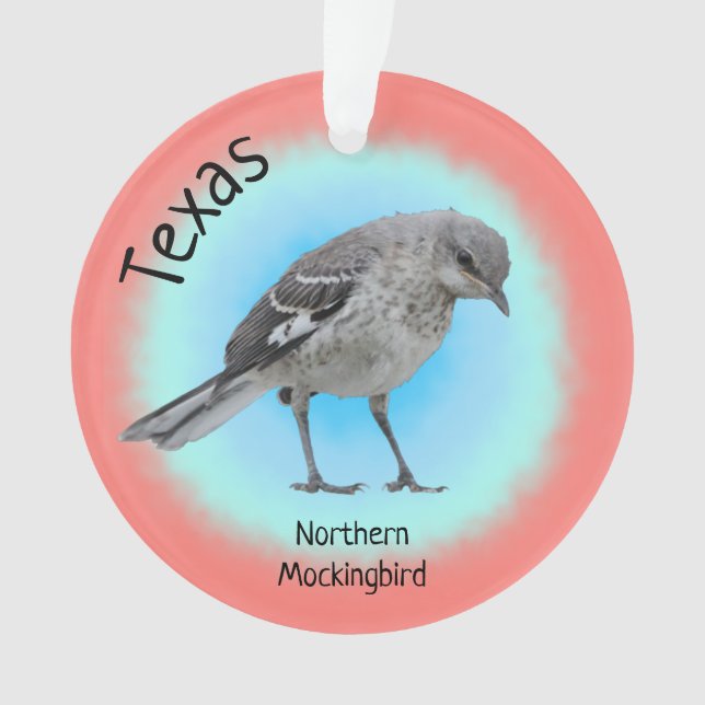 Oiseau d'État du Texas (devant)