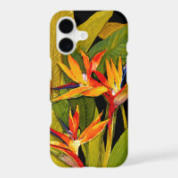 Oiseau du Paradis