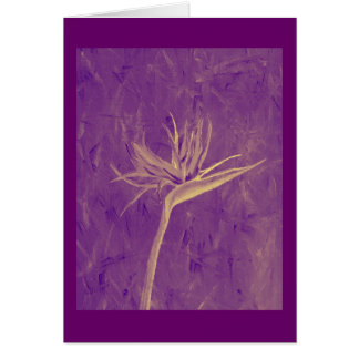 Oiseau du paradis pourpre