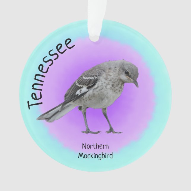 Oiseau du Tennessee (devant)