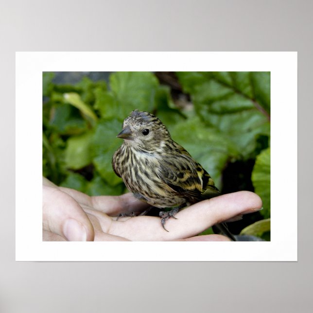 Oiseau en impression manuelle (Devant)