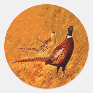 Oiseau faisan Nature Stickers Faune