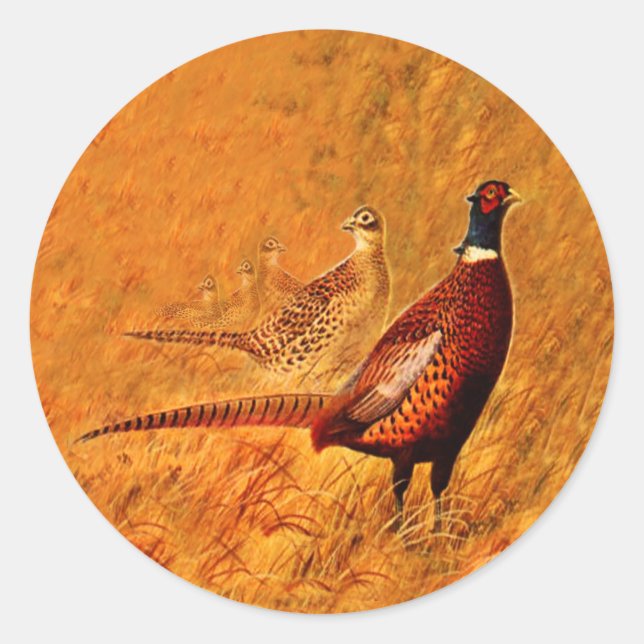 Oiseau faisan Nature Stickers Faune (Devant)