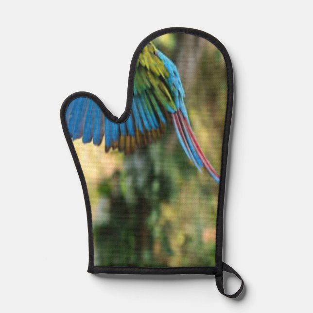 oiseau heureux (Recto)