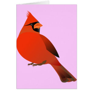 Oiseau masculin cardinal rouge
