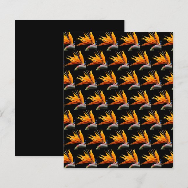 Oiseau orange de Paradis sur papier noir pour scra (Devant / Derrière)