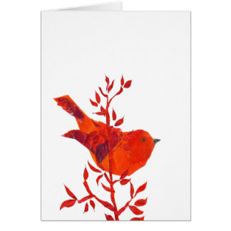 Oiseau rouge cutest sur la planète