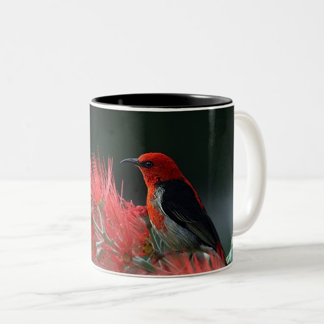 Oiseau rouge en Branche - Elégante Mug Nature (Devant droit)
