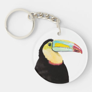 Oiseau tropical Toucan