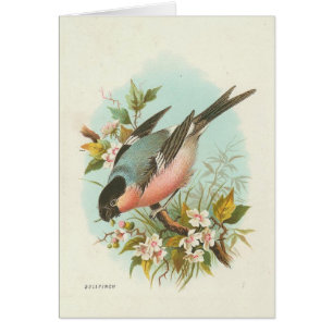 Oiseau vintage